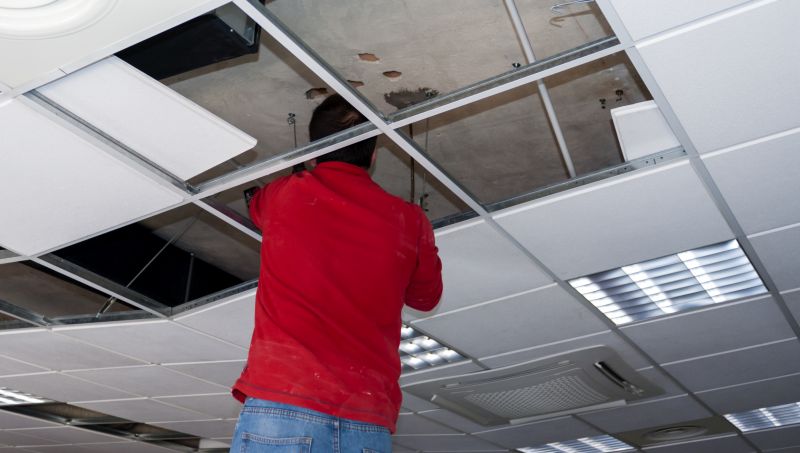 Ceiling Panel Repair