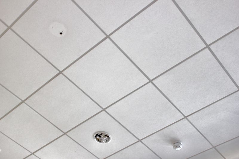 Ceiling Tile Service detail