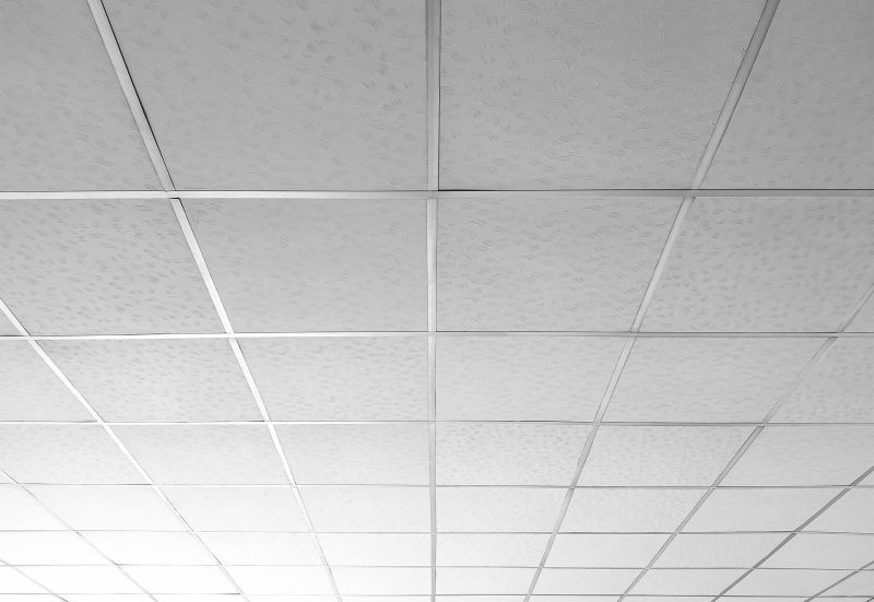 Ceiling Tile Service detail