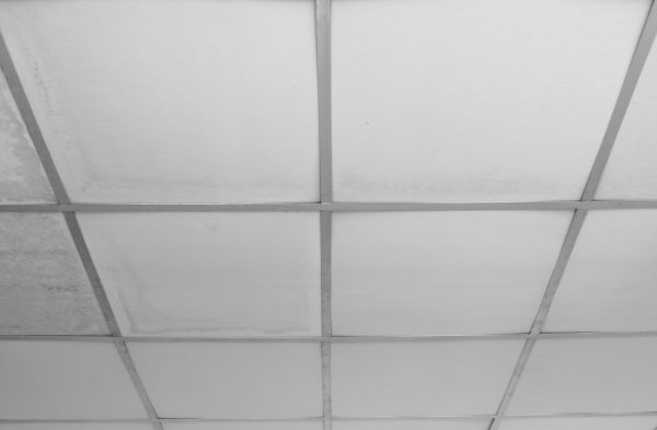Office Ceiling Placement